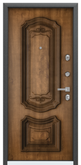 Дверь Torex Professor 4+