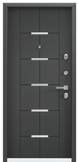 Дверь Torex Professor 4+