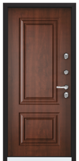 Дверь Torex Snegir 60