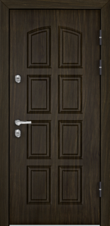 Дверь Torex Snegir 60